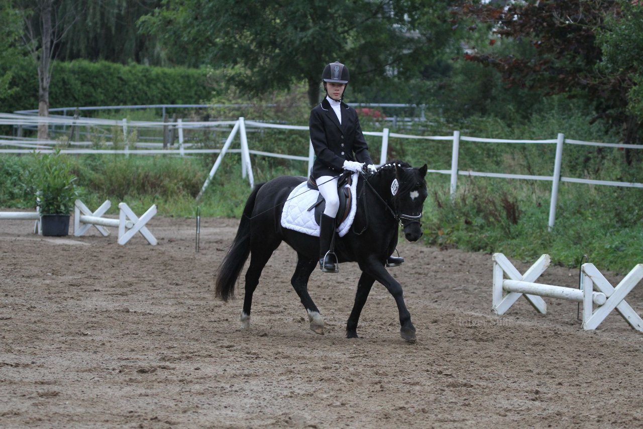 Bild 354 - WBO-Turnier am 18.9.11
